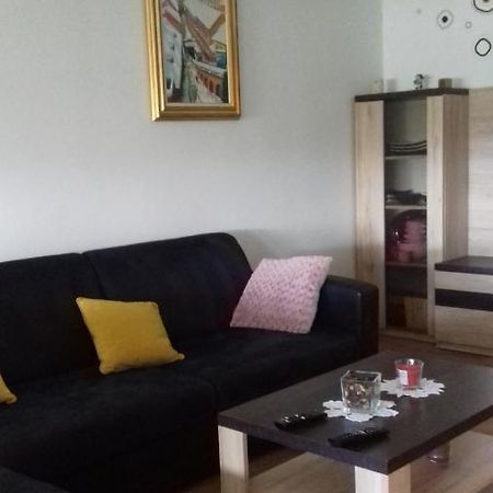 Apartman Lana ,Froudeova Ulica 3 Nasuprot Zg Velesajma Lejlighed Zagreb Eksteriør billede